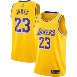 Los Angeles Lakers LeBron James 23 2020 2021 Nike Icon Edition NBA Jersey Swingman