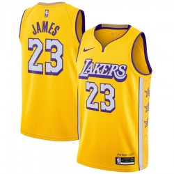 Los Angeles Lakers LeBron James 23 Nike 2019 2020 City Edition NBA Jersey Swingman